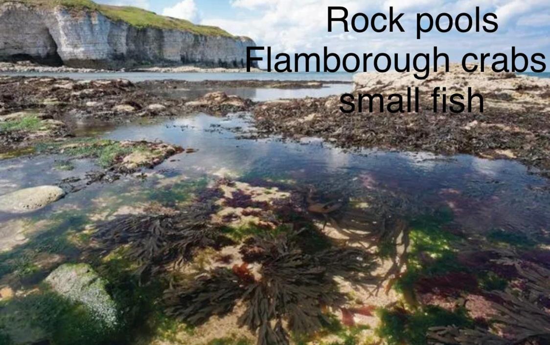 Campeggio 16 Gannet Grove Thornwickbay. Haven Site