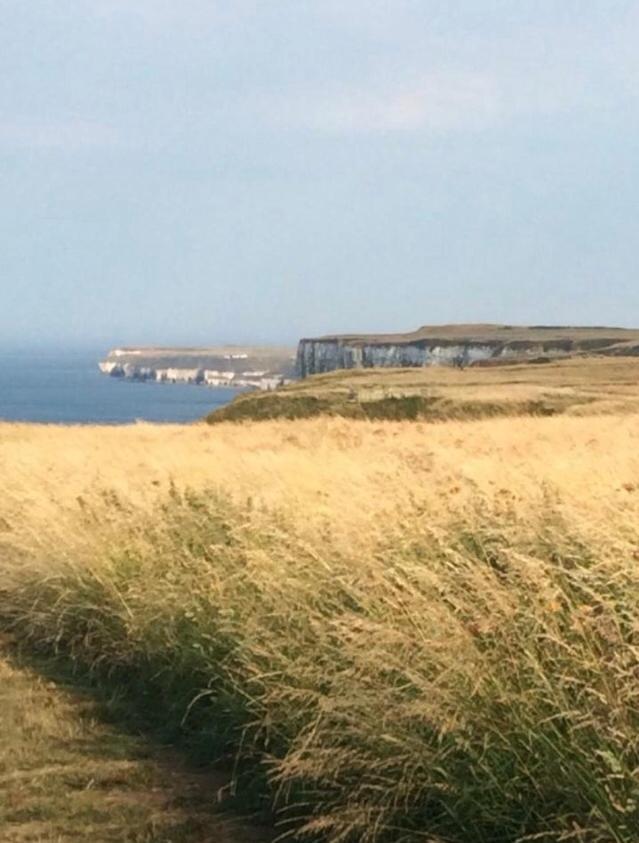 16 Gannet Grove Thornwickbay. Haven Site