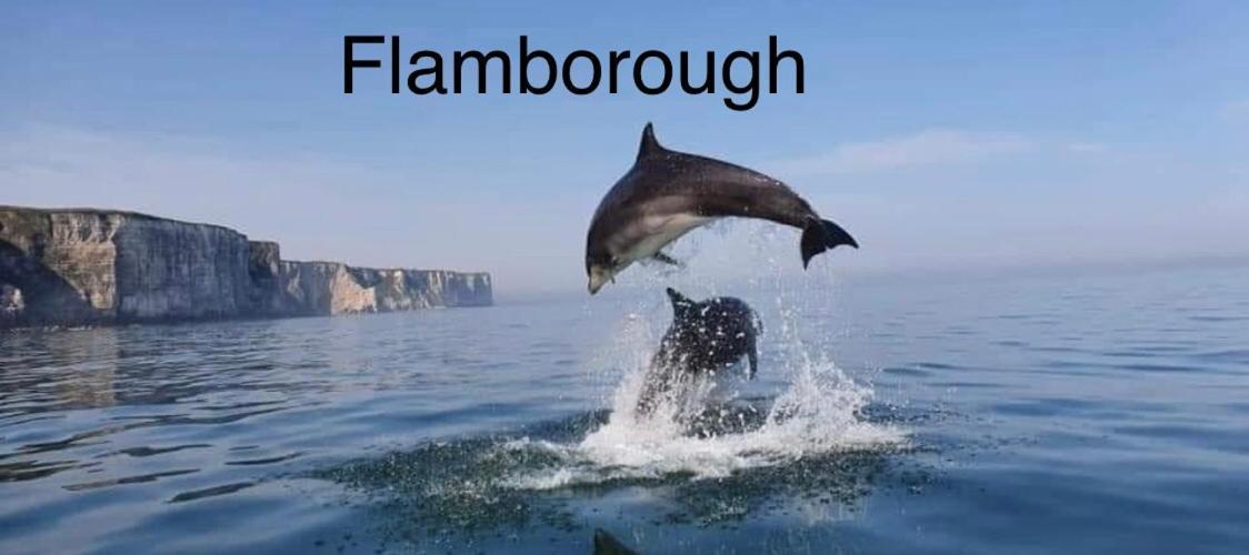 16 Gannet Grove Thornwickbay. Haven Site Campsite Flamborough