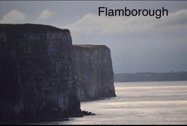 Campsite 16 Gannet Grove Thornwickbay. Haven Site