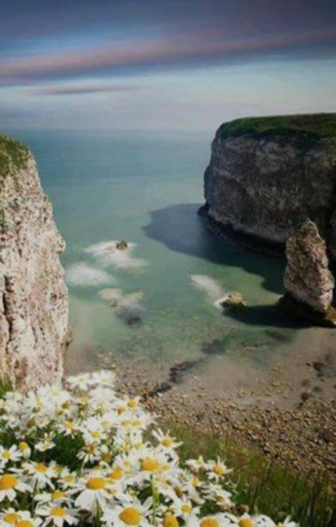 Campsite 16 Gannet Grove Thornwickbay. Haven Site